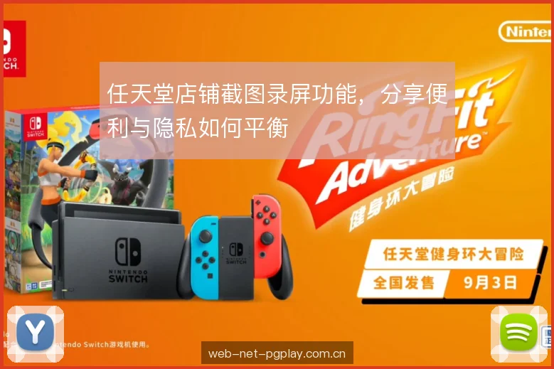 任天堂店铺截图录屏功能，分享便利与隐私如何平衡