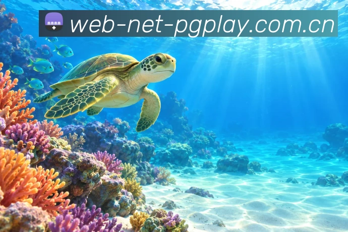 先看内核